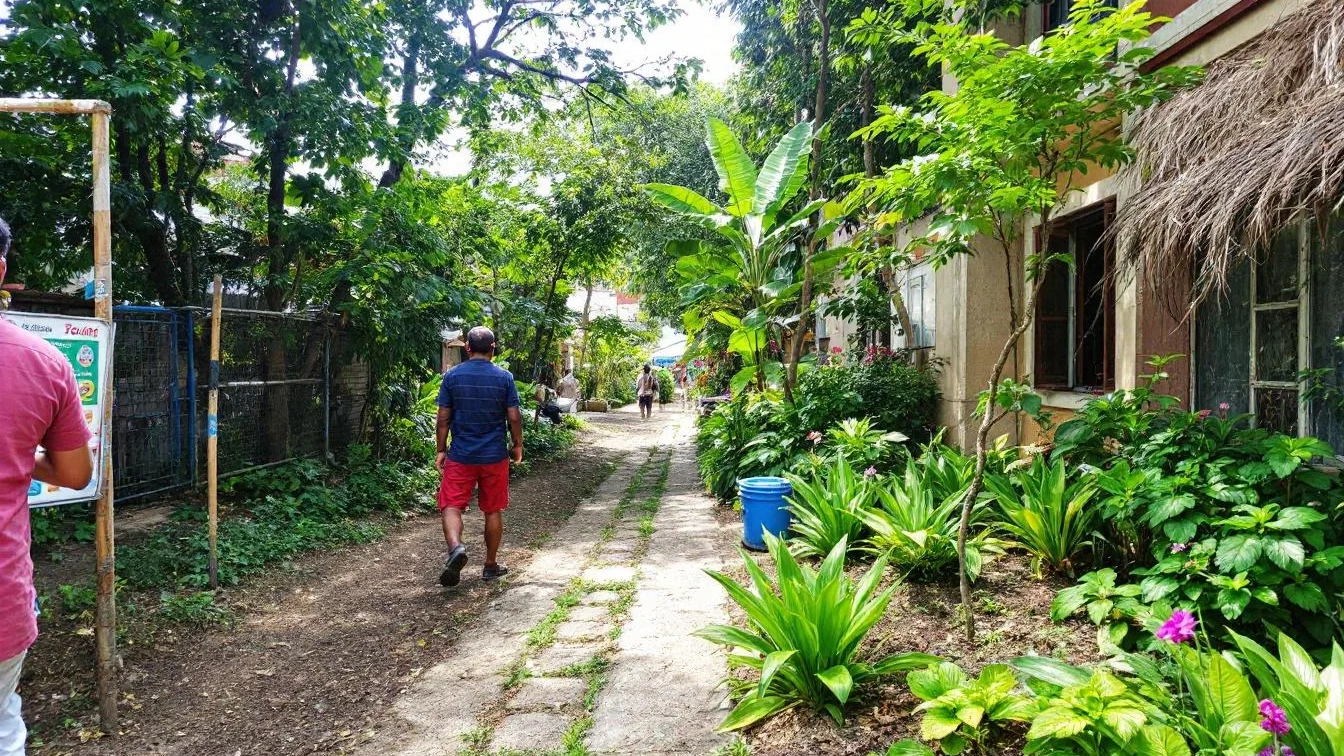Eierschalen in de tuin gebruiken: De ultieme tip voor een succesvolle februarimaand